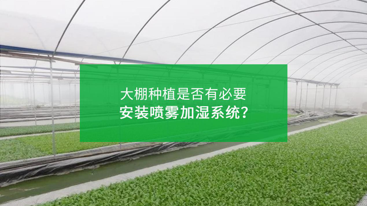 大棚种植是否有必要安装喷雾加湿系统？