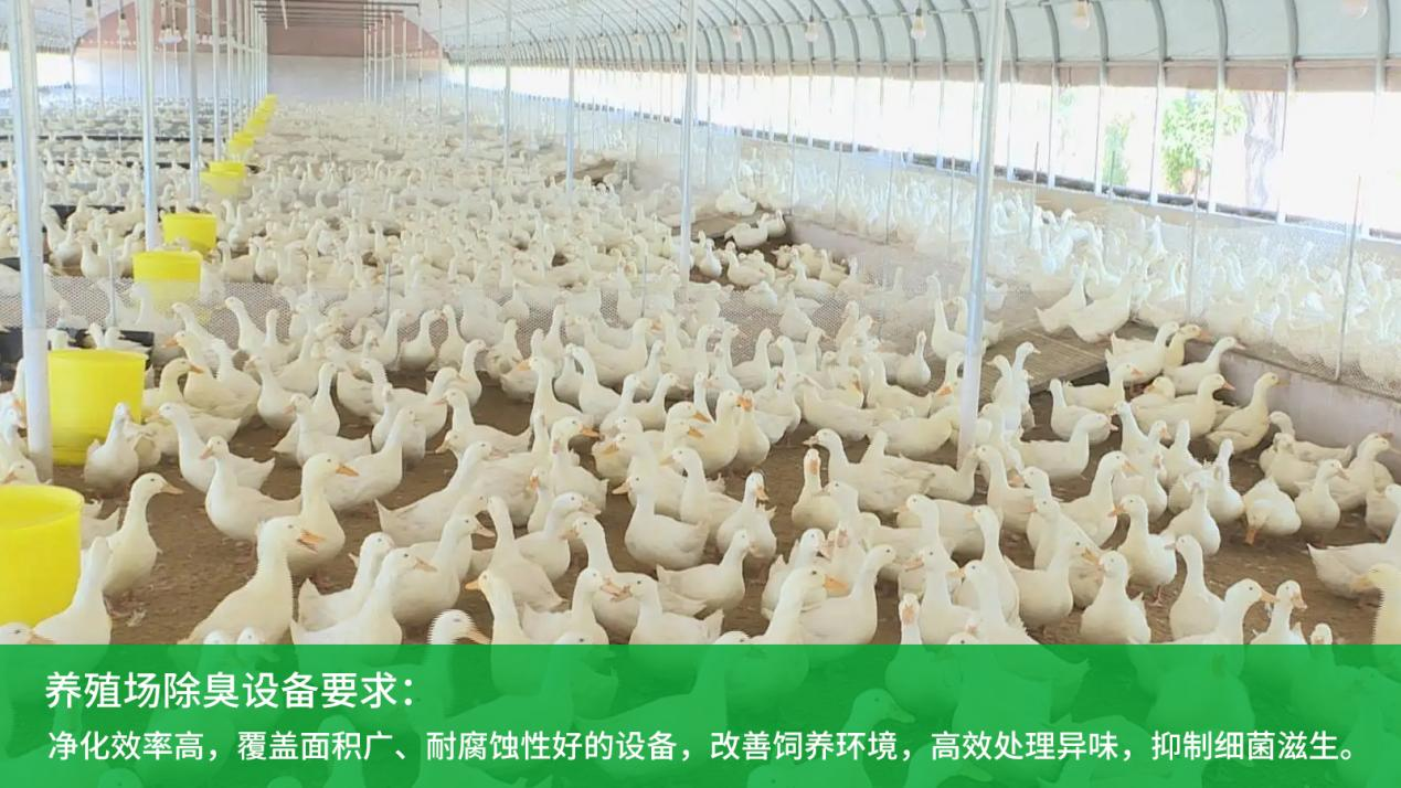 喷雾除臭系统