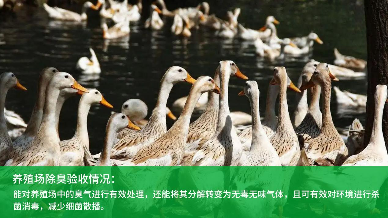 喷雾除臭系统